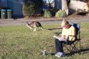 Reading in the warm sun * 2160 x 1440 * (1.3MB)